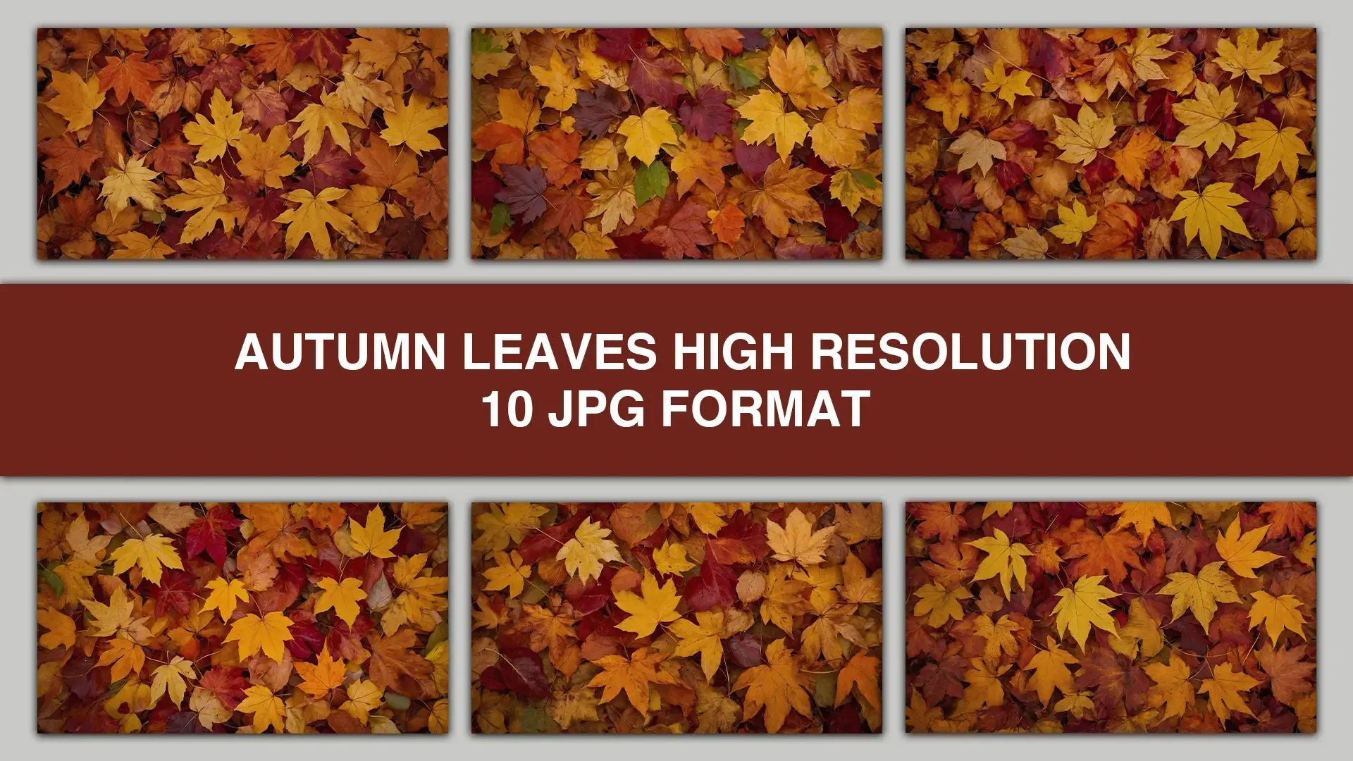 Autumn Leaves High Resolution Background Image Pack